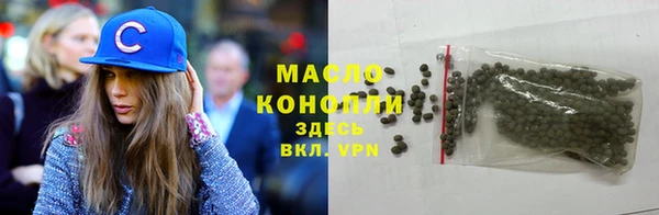 spice Ельня
