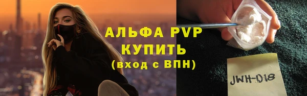 spice Ельня