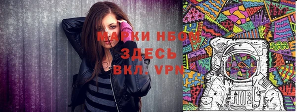 spice Ельня