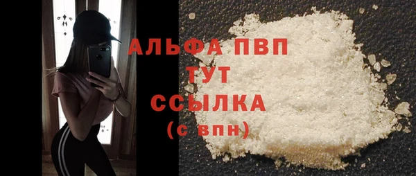 spice Ельня