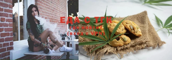 spice Ельня